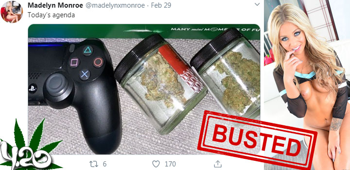 Pornstars that love to smoke weed 4:20