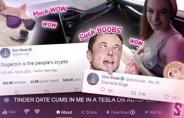 Adult websites that accept dogecoin payments - Pay Doge for pussy